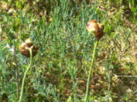 100_1580.jpg